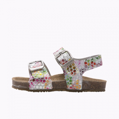 Eropa Multicolor
