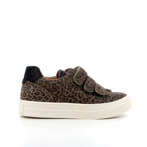 Simbad Leo Kaki