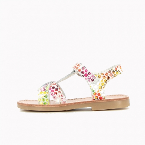 Evapi Multicolors