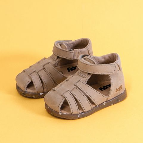 Ranoc Camel