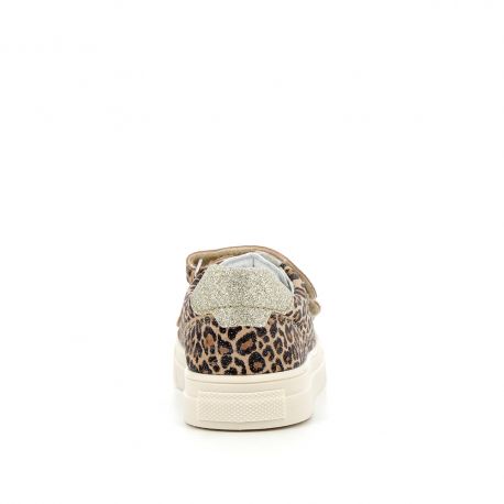New collection Simbad Golden leo SIMBAD-FI-LEODORE