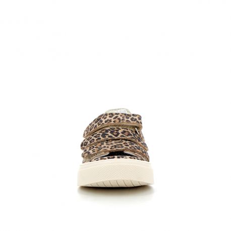 New collection Simbad Golden leo SIMBAD-FI-LEODORE